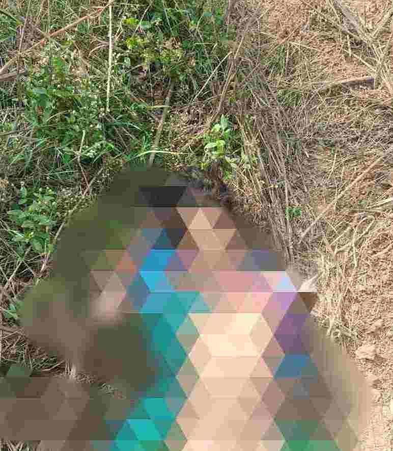 IMG 20240222 WA0128