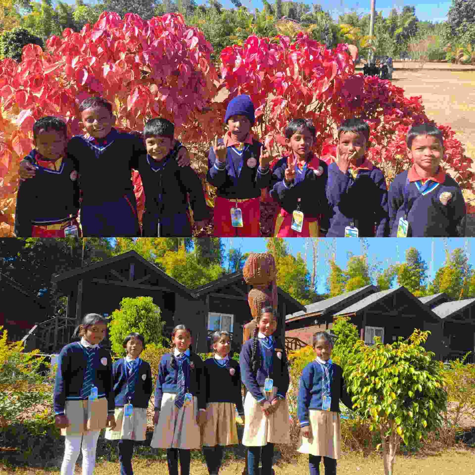 InShot 20260109 191621403