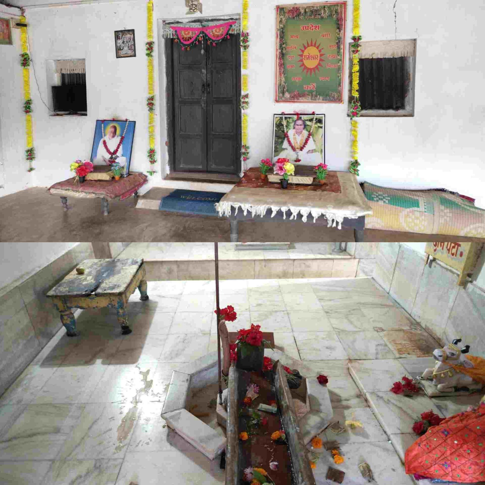 InShot 20260201 165744346